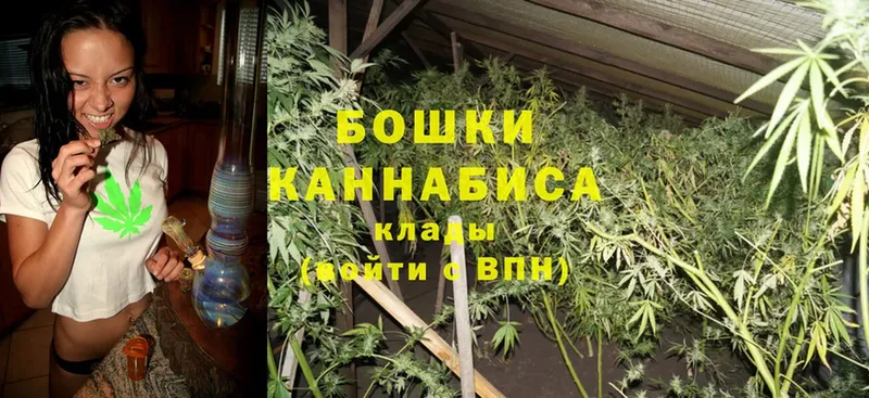 Каннабис White Widow  мега   Выборг 